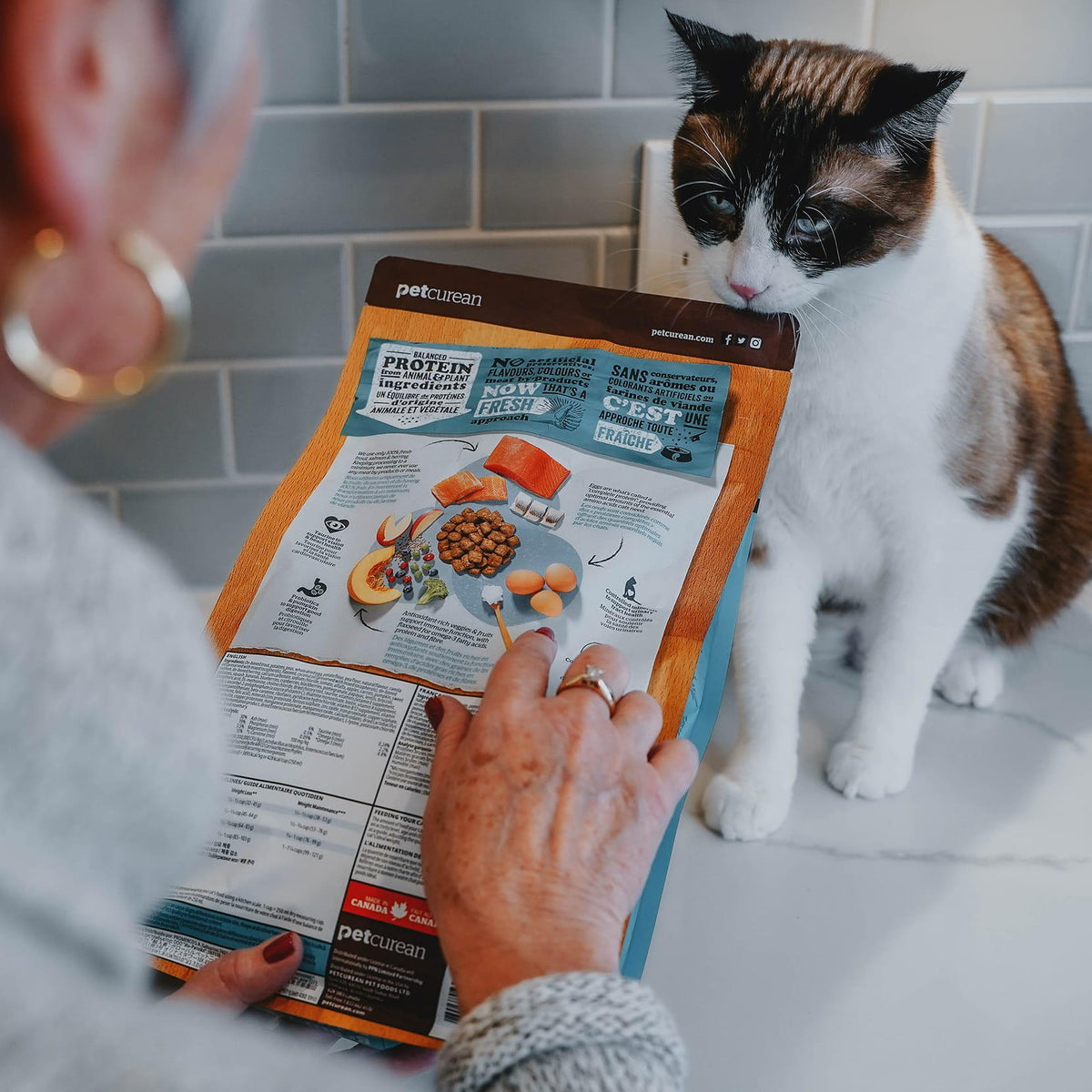 Best Cat Food for Sensitive Stomachs: Complete Nutrition Guide