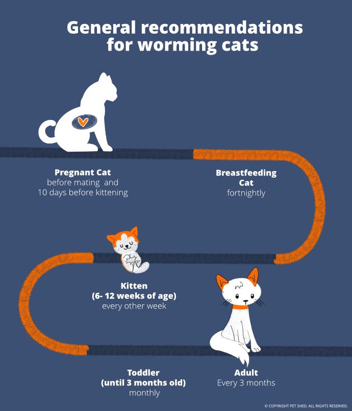 How to Deworm a Cat: Complete Guide