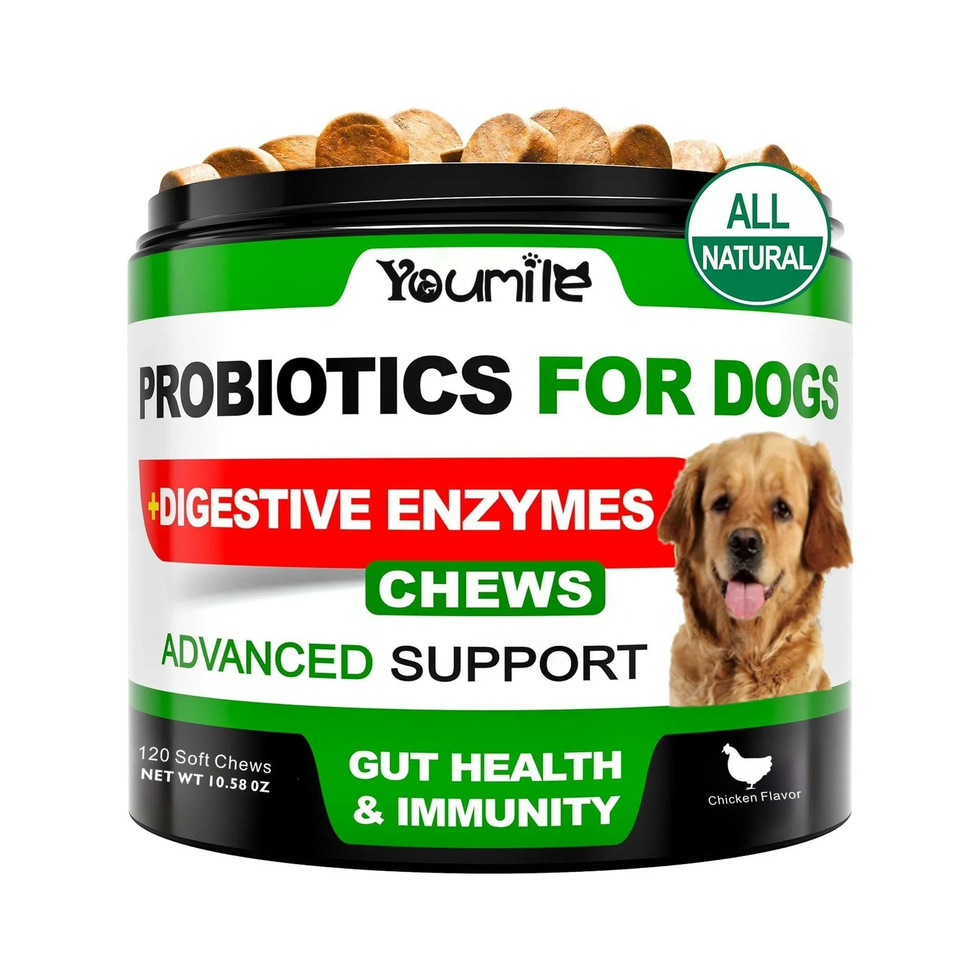 Pet Probiotics: Why They Matter for Your Dog or Cat’s Digestive Health