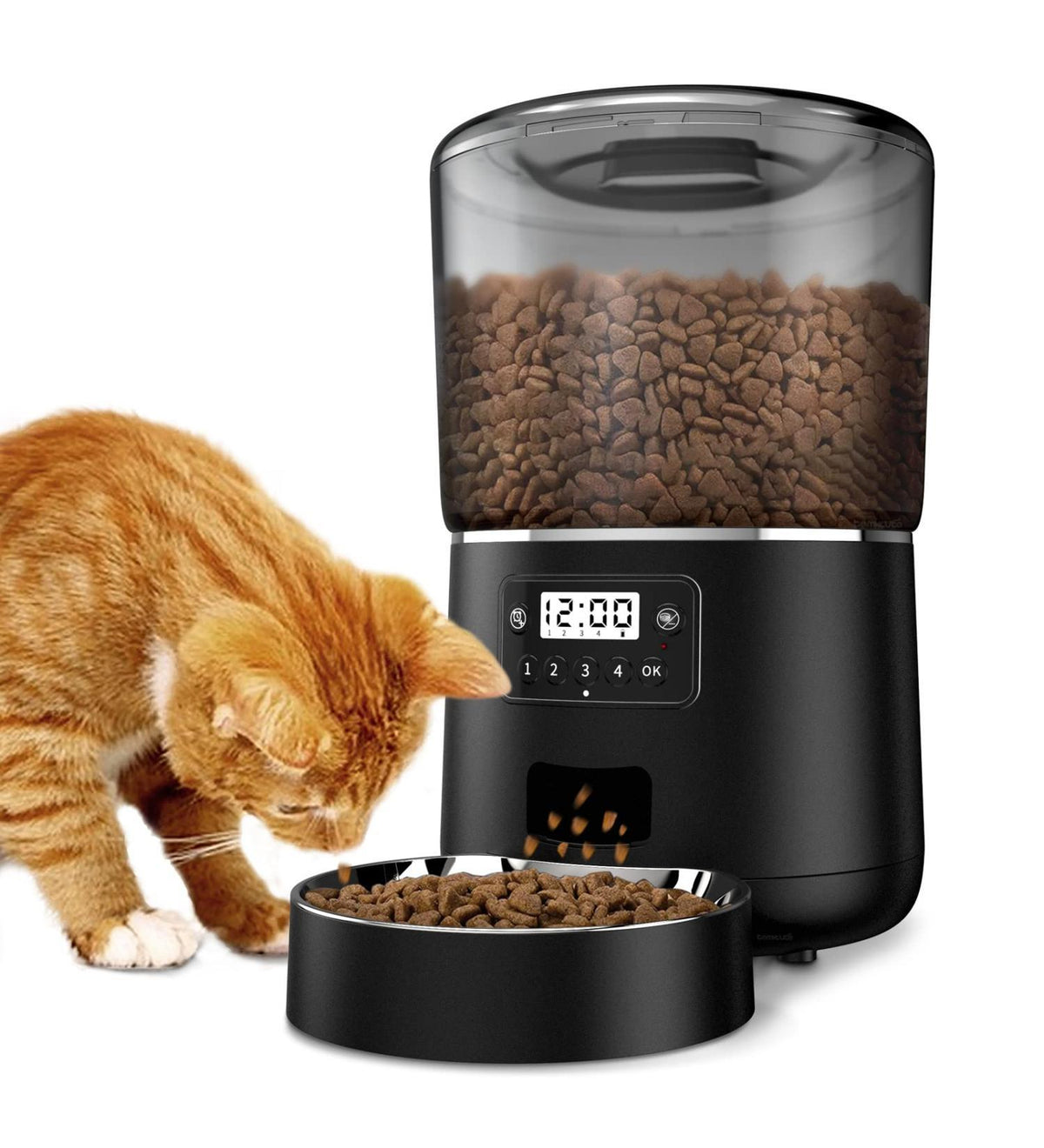 Wet Food vs Dry Food for Cats: Which Is Better? Complete Comparison Guide