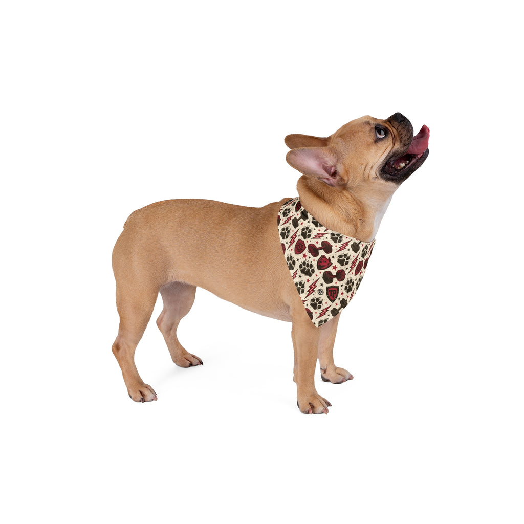 TankPaw® Premium Dog Bandana – Stylish Pet Bandana for French Bulldogs & Small Dogs-Punk skull and lightning bolt design