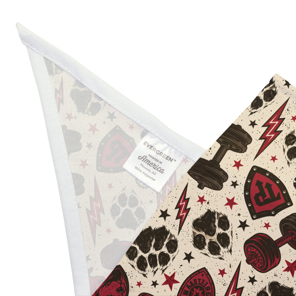 TankPaw® Premium Dog Bandana – Stylish Pet Bandana for French Bulldogs & Small Dogs-Punk skull and lightning bolt design