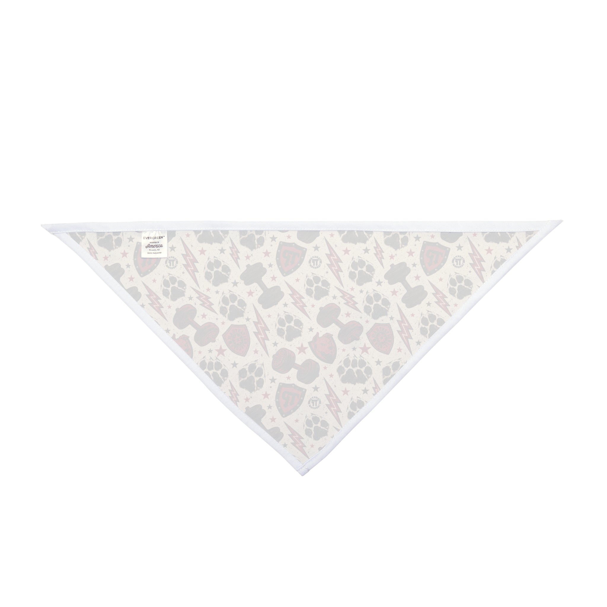 TankPaw® Premium Dog Bandana – Stylish Pet Bandana for French Bulldogs & Small Dogs-Punk skull and lightning bolt design