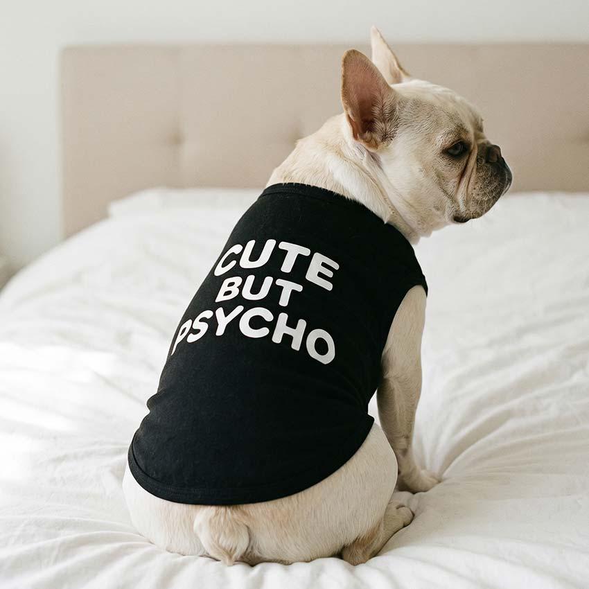 Dog Clothes for Small & Medium Dogs – Comfortable Soft Pet Apparel for Everyday Wear-French Bulldog Clothing | Pet Supplies