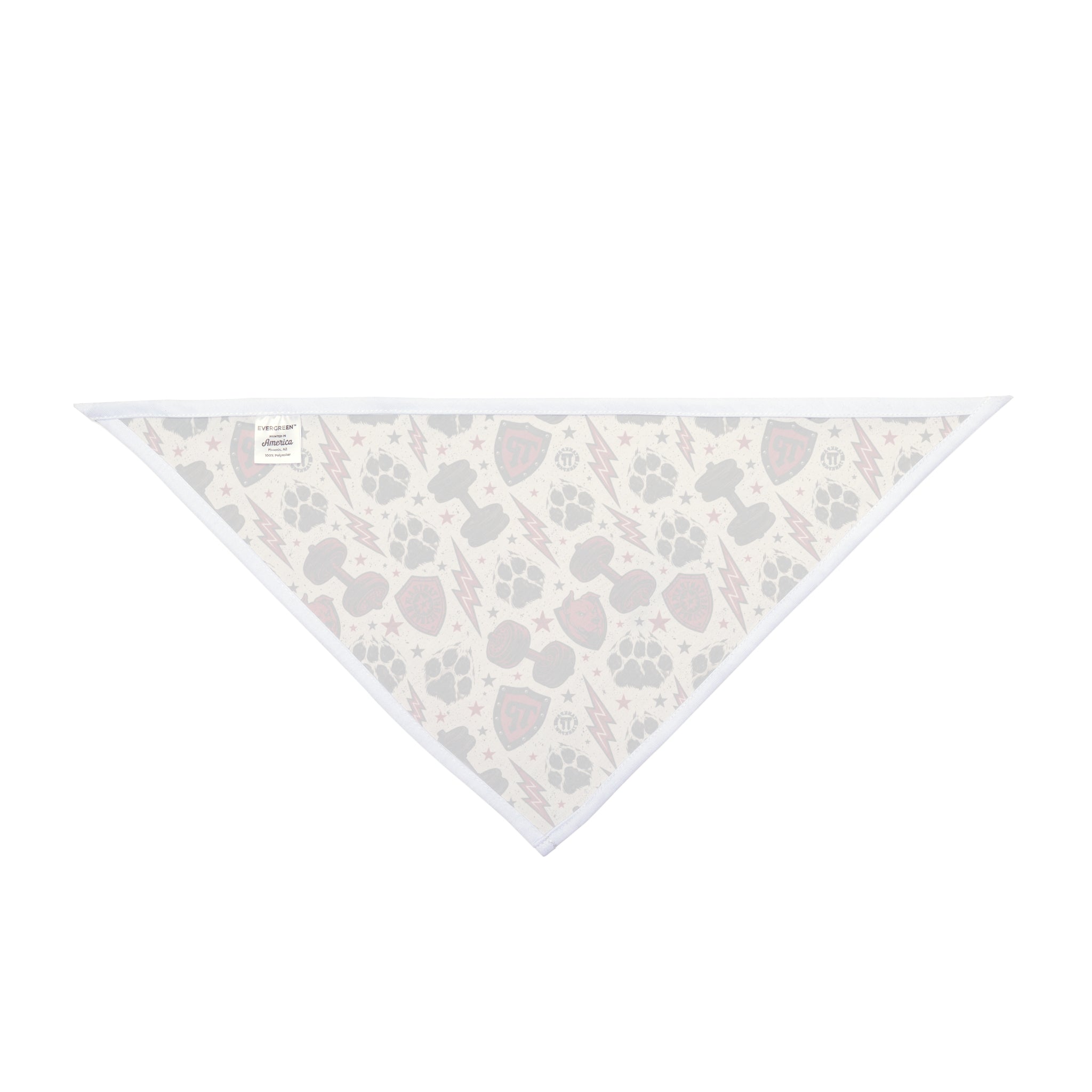 TankPaw® Premium Dog Bandana – Stylish Pet Bandana for French Bulldogs & Small Dogs-Punk skull and lightning bolt design