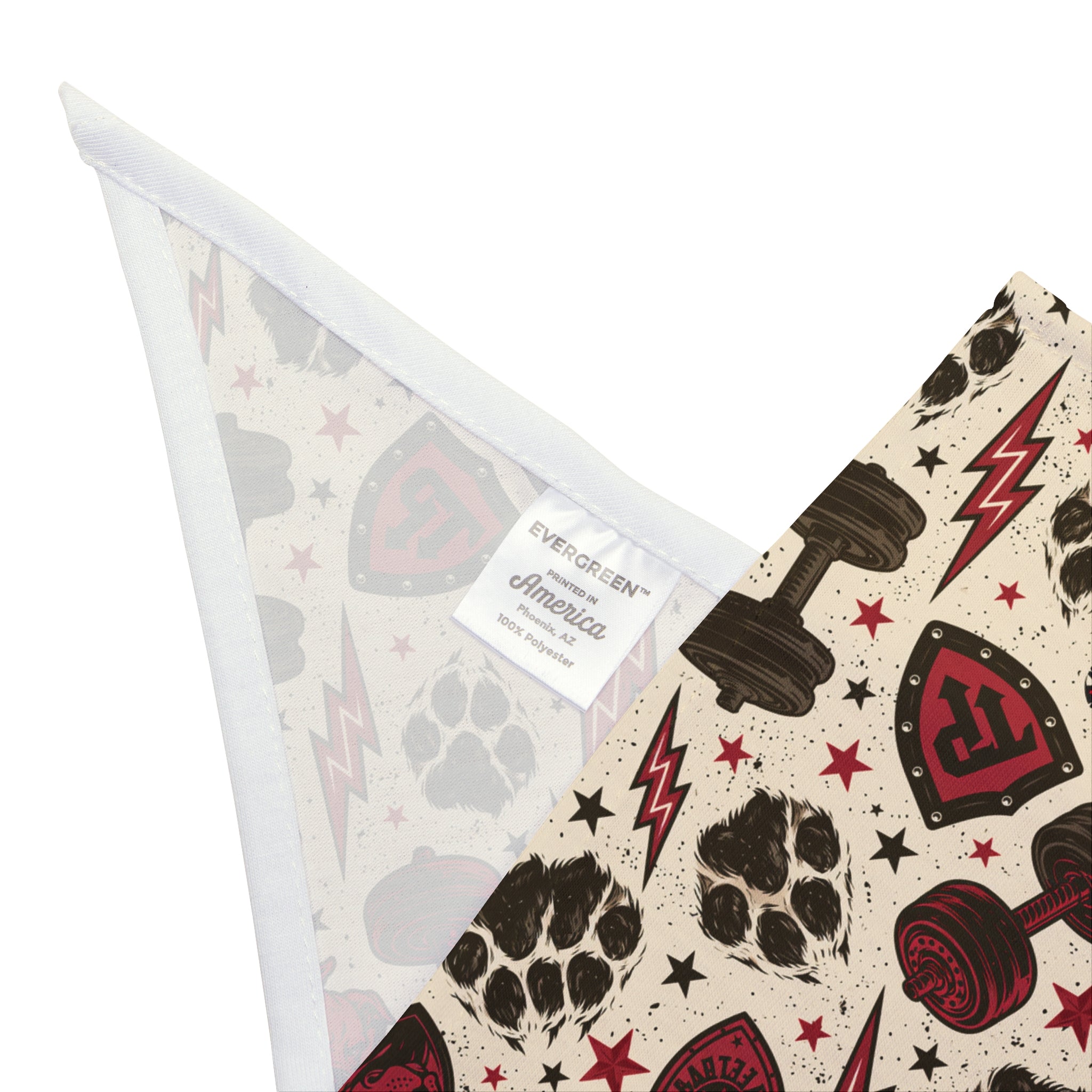 TankPaw® Premium Dog Bandana – Stylish Pet Bandana for French Bulldogs & Small Dogs-Punk skull and lightning bolt design