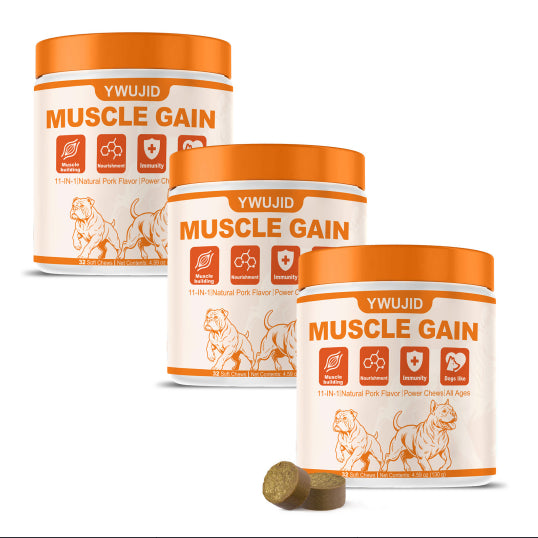 Active dog enjoying soft chew supplement
