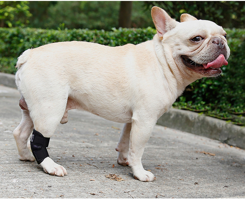 Adjustable Dog Recovery Support Wrap