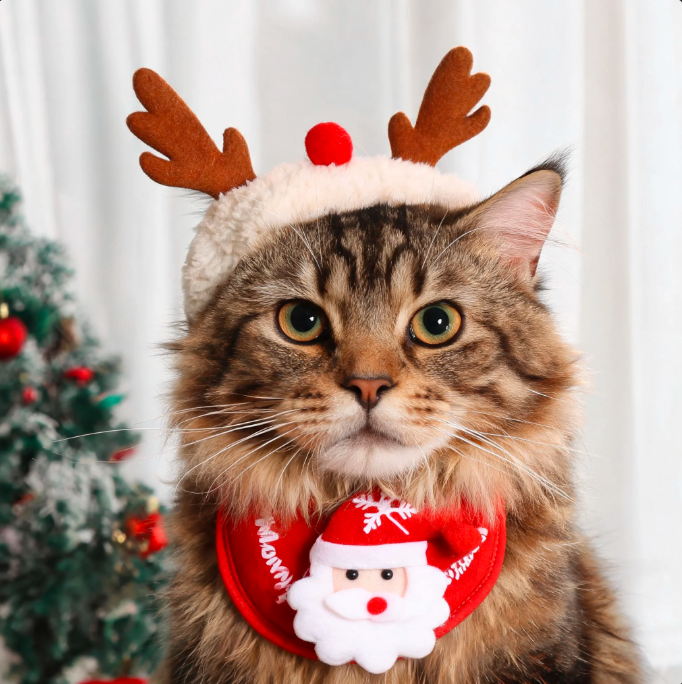Christmas Pet Costume | Festive Holiday Outfit for Dogs & Cats, Cute Christmas Clothing
