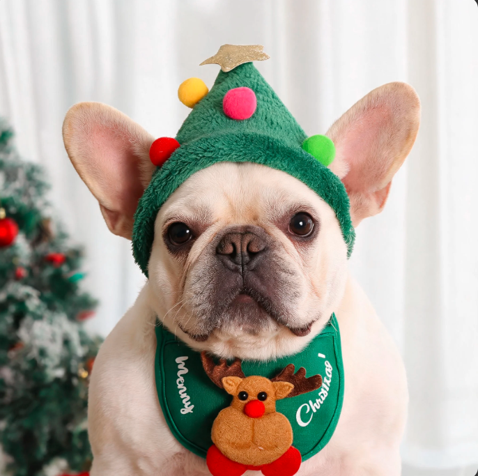 Christmas Pet Costume | Festive Holiday Outfit for Dogs & Cats, Cute Christmas Clothing