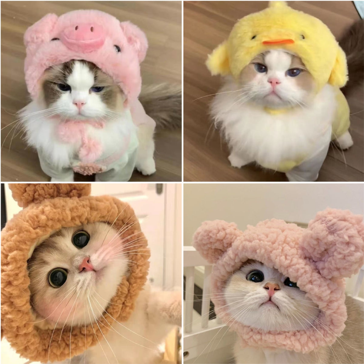 Creative Cat Hat | Stylish & Unique Fashion Costume Accessory for Cats