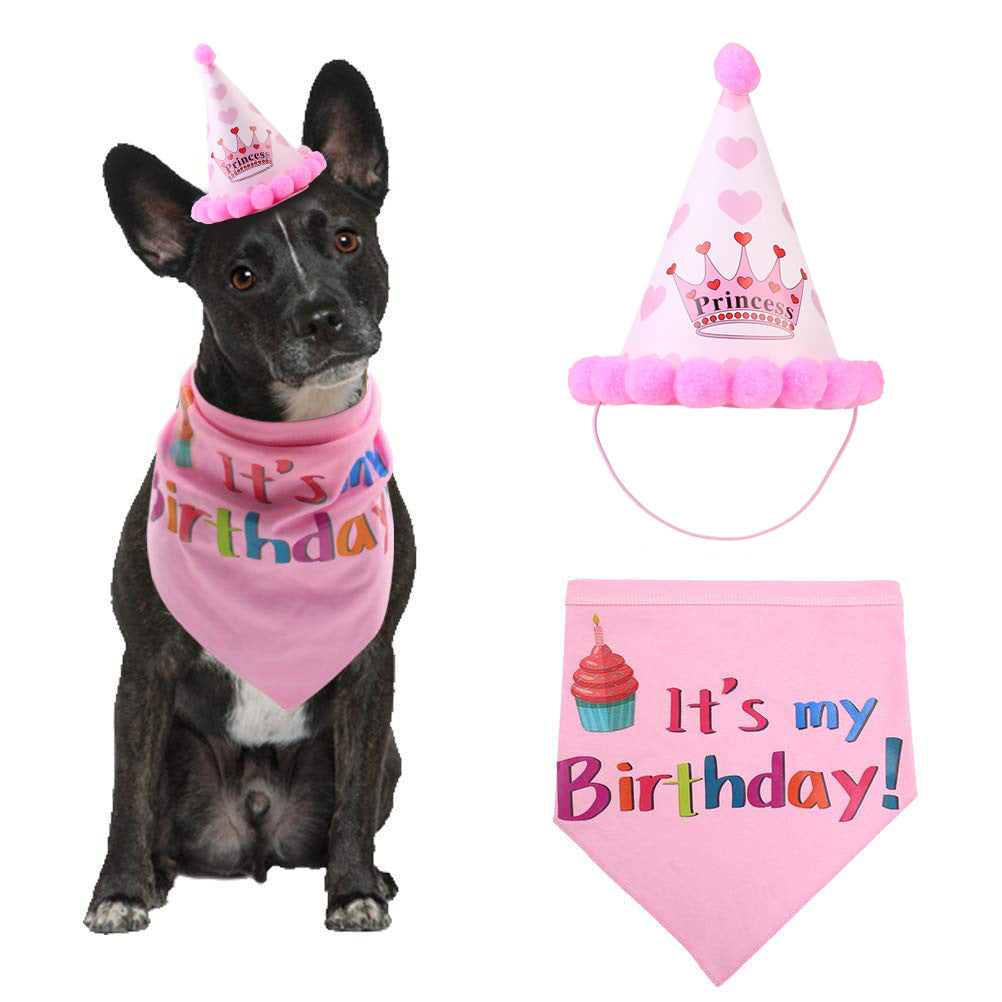 Cute Birthday Party Hat for Dogs