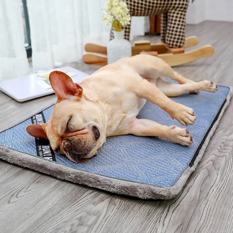 Dog Floor Mat / Cooling Mat for Cats and Dogs – Pet Bed – Summer Pet Supplies