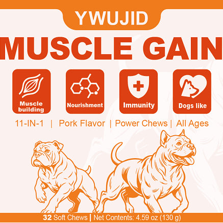 Dog muscle support soft chews nutritional supplement