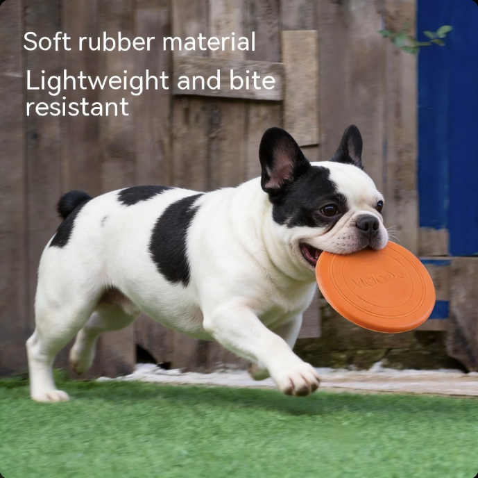 Floating Dog Toy | Interactive Training & Fetch Toy for Dogs