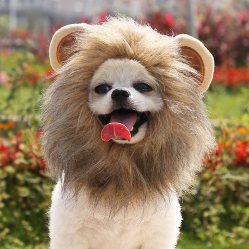 Funny Lion Mane Costume for Dogs and Cats