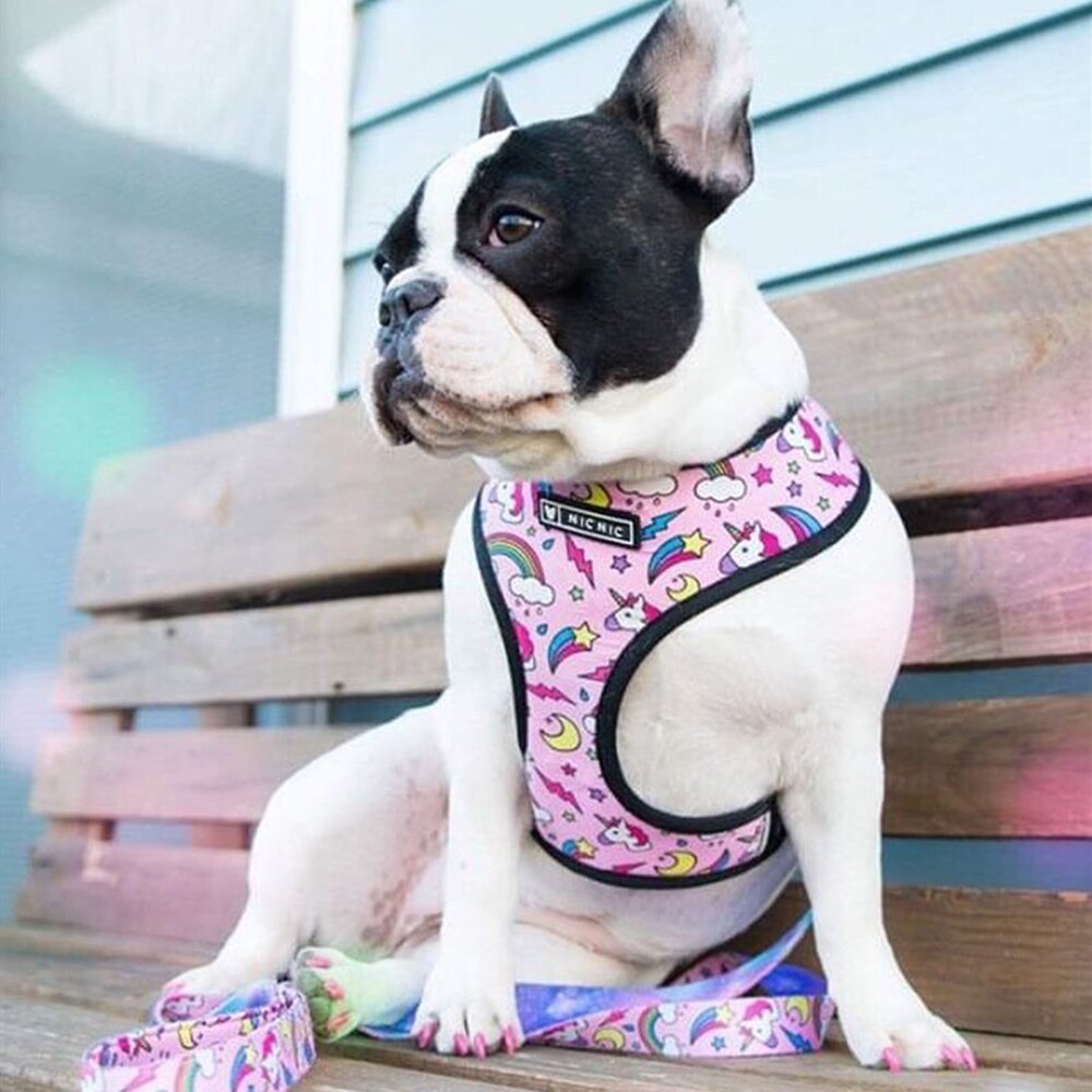 Mesh Dog Leash | Lightweight & Comfortable Pet Walking Lead