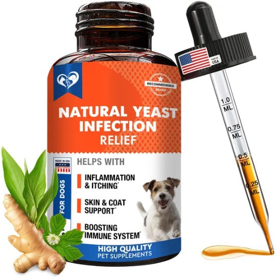 Natural dog yeast infection treatment drops for itchy skin, ears and allergy relief
