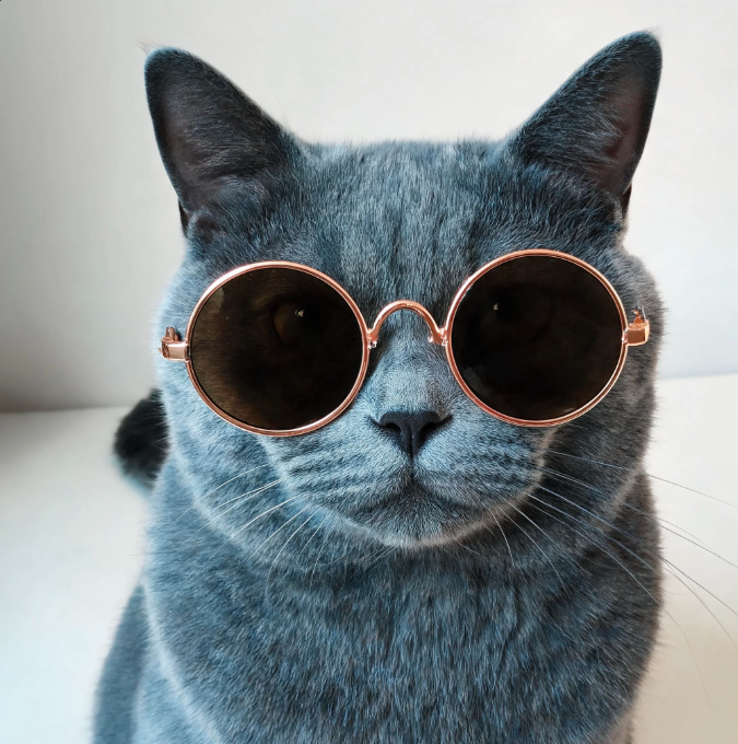 Cat Sunglasses | Stylish Protective Pet Glasses for Outdoor Adventures & Photos