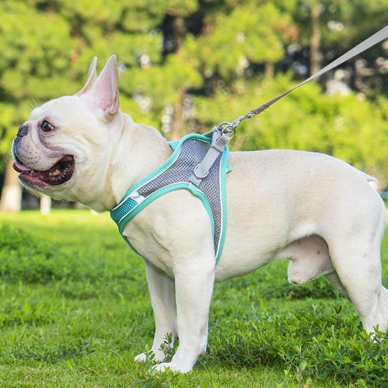 Reflective Breathable Dog Harness and Leash Set