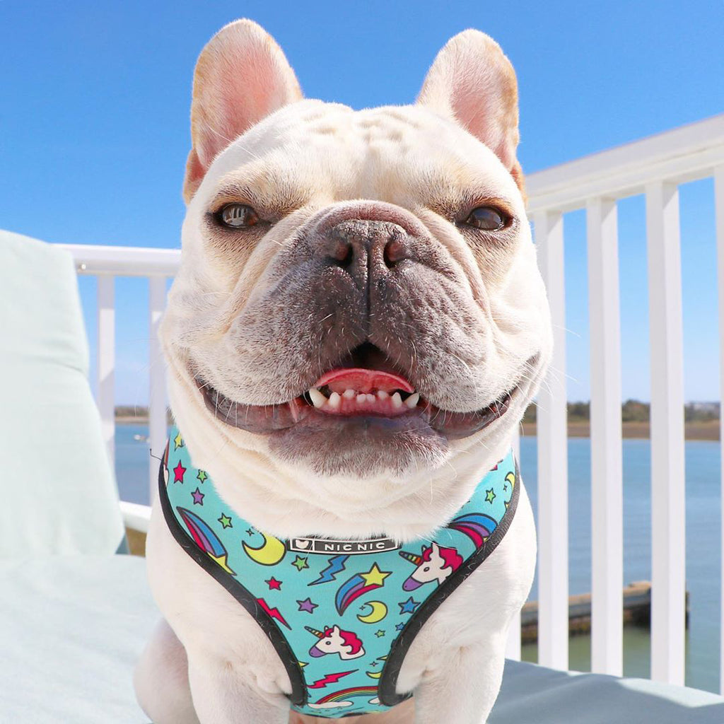 Reflective strips and adjustable buckle on pet harness