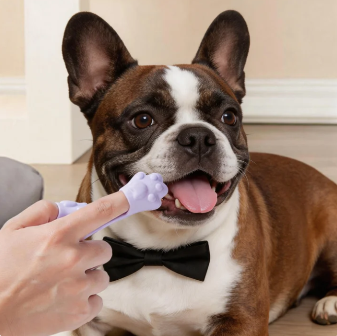 Dog Finger Toothbrush for Pets – Soft Silicone Tooth Cleaning Brush for Dogs & Cats Oral Care