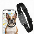 Smart waterproof GPS dog collar with location tracking for outdoor safety and pet protection