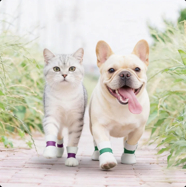 Disposable Pet Shoe Covers | Waterproof Paw Protection for Dogs & Cats