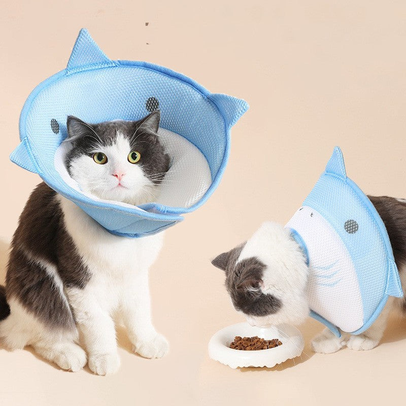 Soft Protective Recovery Collar for Cats