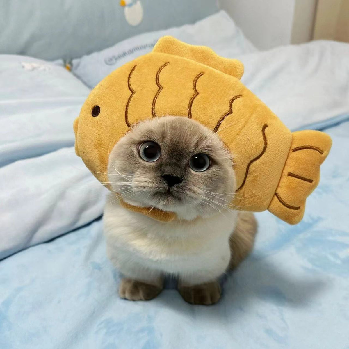 Stylish Creative Hat for Cats