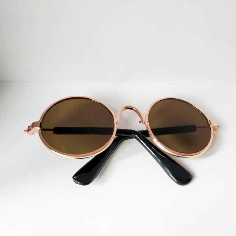 Stylish cat sunglasses pet accessory for outdoor photos